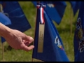 State Flags